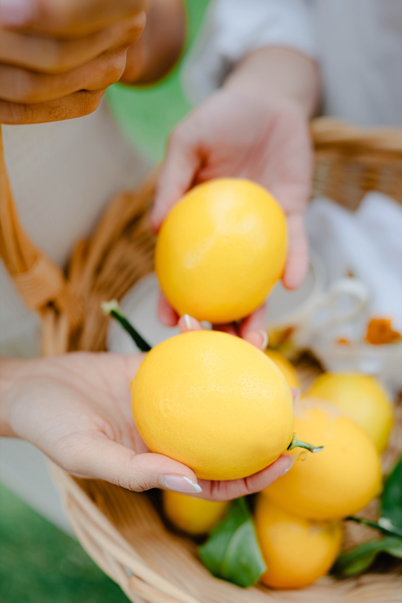 Hands holding bright lemons over a picnic basket